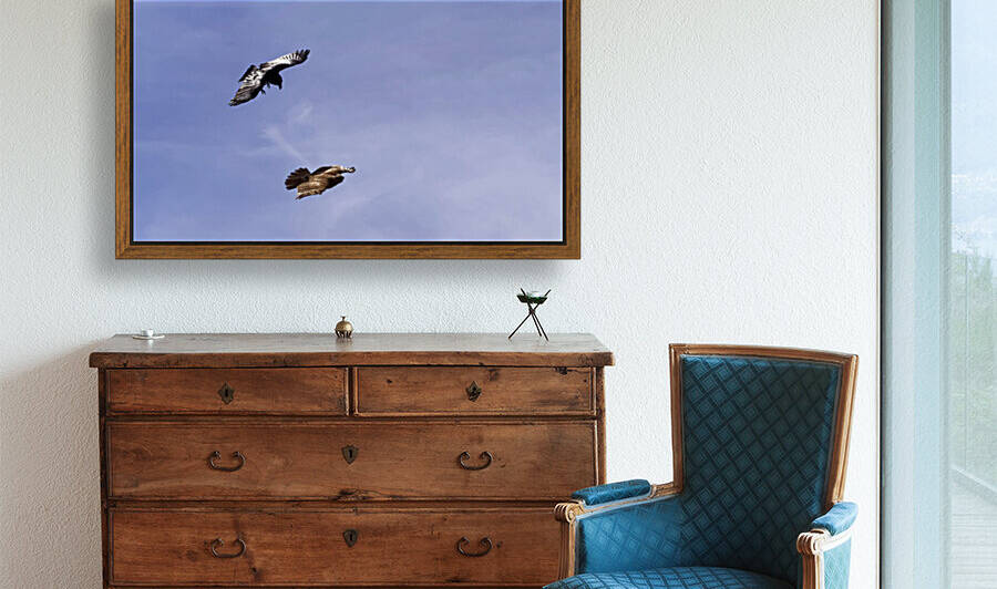 Hawk and Raven by Asmus Koefoed