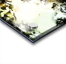 ED969D5B 191E 4BBF 8D10 E2E9F1BCA4D4 Acrylic print