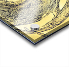  observation  Acrylic print
