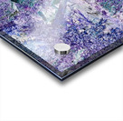 Violet Acrylic print