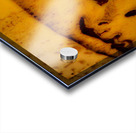 Choco Acrylic print