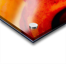Magnetique  Acrylic print