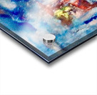 Affolant  Acrylic print