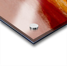 Vallee rouge  Acrylic print