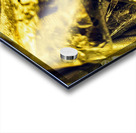 Feuille d’or Acrylic print