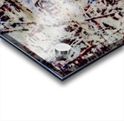 Zebrette Acrylic print