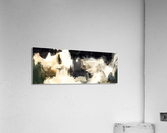 6F5C700A E50B 48AE B012 BCA3FF5DB6A2 Acrylic Print