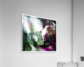 8A940B07 4A83 46F2 B182 2F88B206DB0A Acrylic Print
