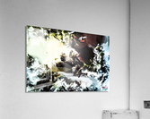 ED969D5B 191E 4BBF 8D10 E2E9F1BCA4D4 Acrylic Print