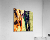 28F4880E A554 4B30 B0E2 70B8EBAD545F Acrylic Print