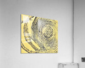  observation  Acrylic Print