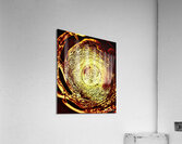  Matiere doree Acrylic Print