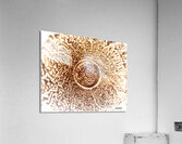 Le cercle  Acrylic Print