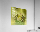 Solitude  Acrylic Print