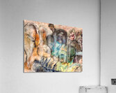 Le regret Acrylic Print