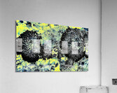 Chardonnerets  Acrylic Print