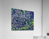 Chardons Acrylic Print