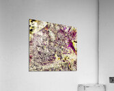 Epineux  Acrylic Print