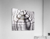 Transparence  Acrylic Print