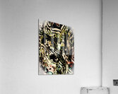 Arabesques 2 Acrylic Print