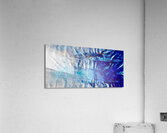 Boutis Acrylic Print