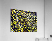Felin  Acrylic Print