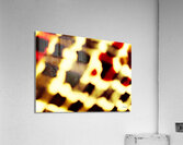 Entrecroisement  Acrylic Print
