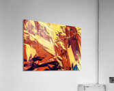 Cuivre  Acrylic Print