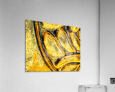 Fossiles  Acrylic Print