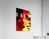 Les differents  Acrylic Print