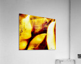 Leurs separations  Acrylic Print