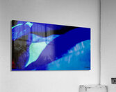 Entre elles  Acrylic Print