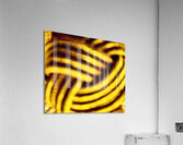 Enlace  Acrylic Print