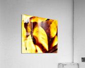 Solidarite entre elles  Acrylic Print
