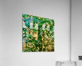 Savane  Acrylic Print