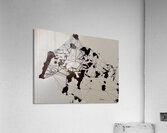 La toile  Acrylic Print