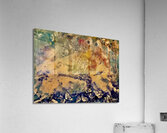 Papillonnage III Acrylic Print