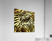 Zebrures II Acrylic Print