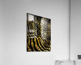 Zebrures III Acrylic Print