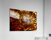 Zebrures IV Acrylic Print