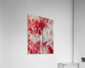 Le lys Acrylic Print