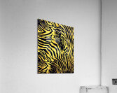 Zebrures IX Acrylic Print