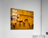 Choco Acrylic Print