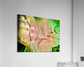 Vert tendre Acrylic Print