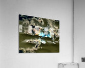 Ombrage  Acrylic Print