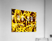 Etoiles dorees  Acrylic Print