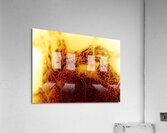 Chico Acrylic Print