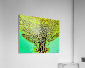 Vasculaire  Acrylic Print