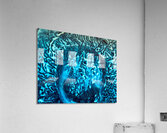 Veines bleues  Acrylic Print