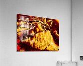 Colliers de perles  Acrylic Print